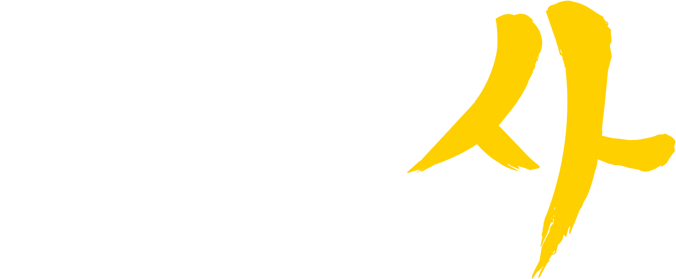 Call of Duty: MW4 logo